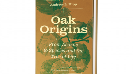 Book Review: How Oak Trees Warn Us about the Limits of Adapting to Climate Change