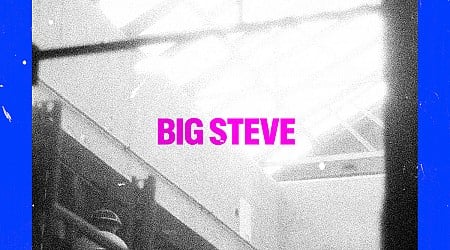 Pet Symmetry – “Big Steve”