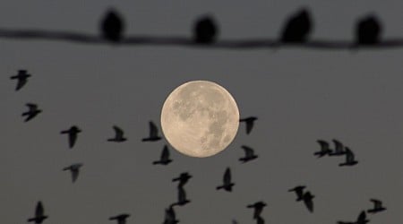 Last supermoon of 2024 wows skywatchers around the world with Full Beaver Moon (photos)