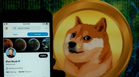 Dogecoin spikes another 15% after Musk appointed to lead DOGE department for Trump