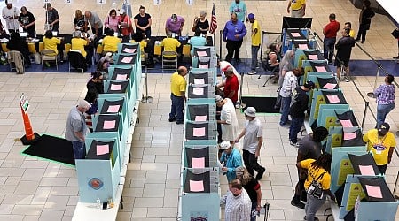 Americans accused of noncitizen voter fraud face doxxing and intimidation