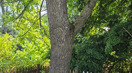 Benjamin Fairfax Family Cemetery in Fairfax, Virginia