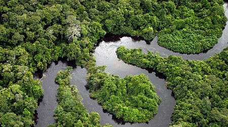 The Amazon Swallowed A Colony Centuries Ago. Archaeologists Just Found It.