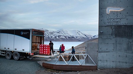 Arcitc Seed Vault Receives Largest Seeds Deposit Amid Conflicts And Climate Crisis