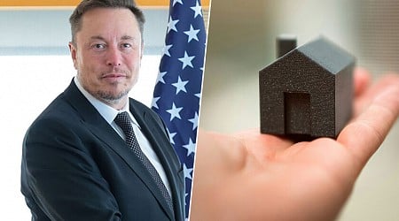 Elon Musk tiene 11 hijos de tres madres: se ha comprado tres mansiones para vivir "en comuna", según el NYT