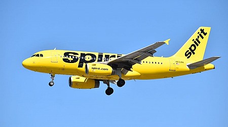 Spirit Airlines plane hit by gunfire; flight attendant wounded