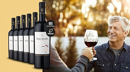 Shopping-Deal mit FOCUS online - Festtagsgenuss aus Chile: Dieser Cabernet Sauvignon darf auf keiner Festtafel fehlen