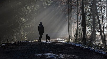 Ehemann tot aufgefunden - Rentnerin (72) nach vier Nächten im Wald entdeckt - Hund hielt sie warm