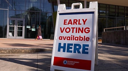 Georgia voter roll audit finds only 20 noncitizens out of 8 million registered voters