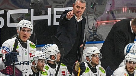 Champions Hockey League: Eisbären-Coach Aubin ist «sehr stolz» auf CHL-Erfolge