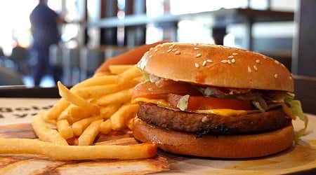 États-Unis : des burgers de McDo contaminés causent la mort d’une personne, 49 malades