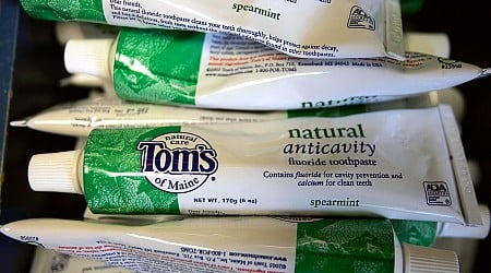 Tom’s of Maine Toothpaste Has a Bacteria Problem, FDA Says