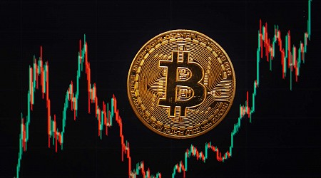 Ron Insana: Bitcoin could be the mother of all manias as it soars toward $100,000