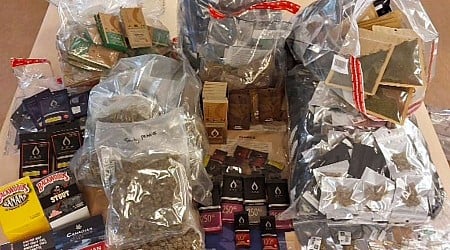 Kingston Police execute second search warrant at unlicensed downtown cannabis dispensary