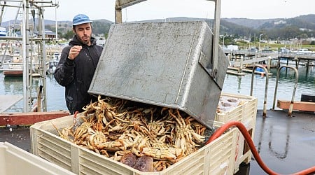 California's Dungeness crab season delayed again