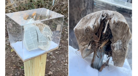 Bible found stuck on fence post, opened to book of Revelation after Helene disaster in North Carolina