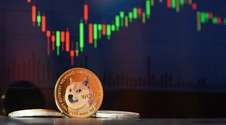 The case for altcoins and memes as bitcoin faces a potential correction