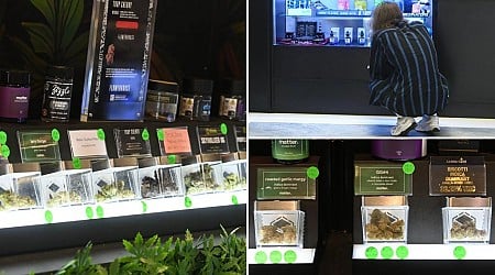 NY smokin' it with pot sales, nears $1 billion mark