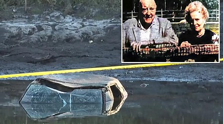 Car found in Georgia pond could be linked to 44-year disappearance of wealthy Scarsdale, NY couple