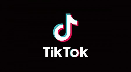 TikTok's CEO, Shou Chew, Reached Out To Elon Musk For Advice On Policy Trends And The Incoming Trump Administration