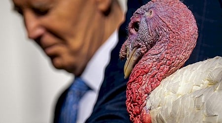 Minnesota Turkeys Peach And Blossom Pardoned By President Biden