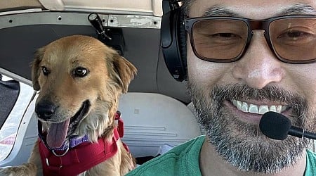 Animal rescue pilot and dog killed in plane crash in the Catskill Mountains; 2 dogs survive