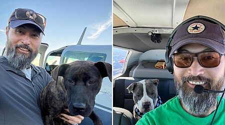 Pilot who flew dogs to be adopted dies in NY plane crash