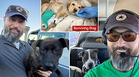 Pilot who flew dogs to be adopted dies in NY plane crash