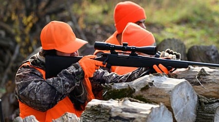 2024 Preliminary Gun Deer License Sales And Harvest Totals Available