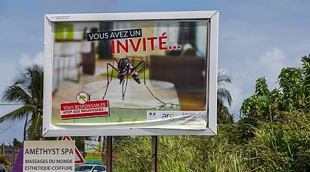 La Guadeloupe fait face à une épidémie de dengue