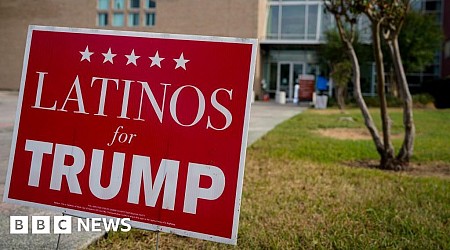 'It's simple, really' - why Latinos flocked to Trump