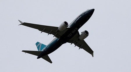 FAA plans to review 737 MAX engine issue after bird strike incidents