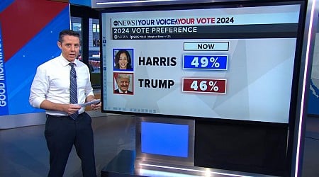 WATCH: How Harris or Trump could win election