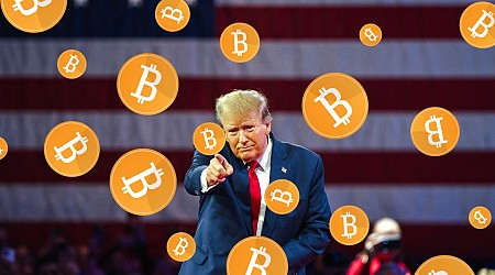 Crypto : l’élection de Donald Trump fait grimper le cours du Bitcoin vers un nouveau record