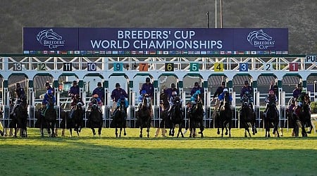 Breeders’ Cup Classic Odds And Picks For Saturday’s Biggest Races At Del Mar