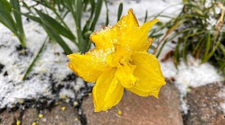 First snow in Staunton? Get ready for temperatures to plummet later this week