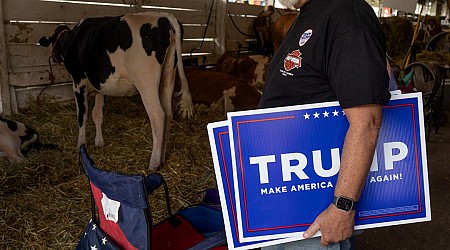 Young people flocked to these 10 rural places before the election. 9 went for Trump.