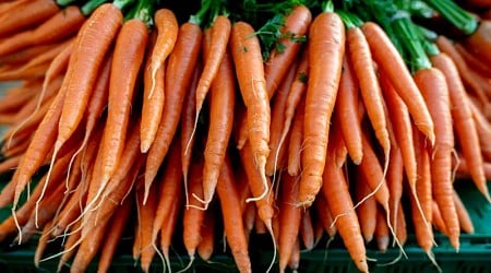 Deadly E. coli outbreak linked to organic carrots sold in multiple states