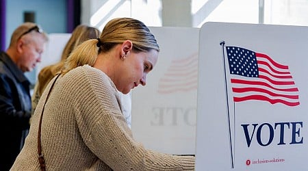 Election 2024: Disinformation Didn't Keep Voters From the Polls