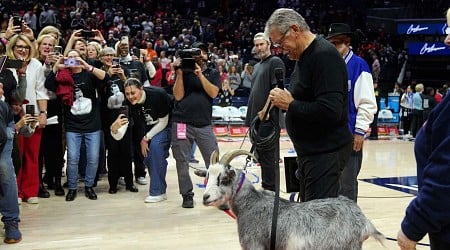 PETA Blasts UConn for Handling of Goat at Geno Auriemma's Ceremony for Wins Record