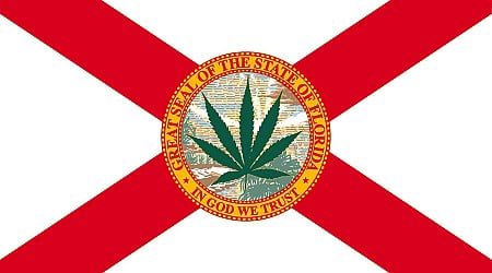 What The Failure Of Florida’s Amendment 3 Means For Cannabis Legalization