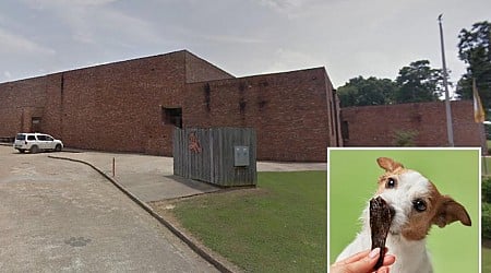 Mississippi teacher who fed students dog food she thought was beef jerky ousted from job