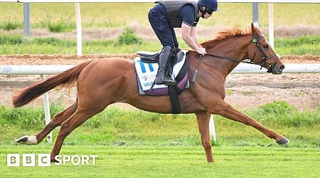 Mullins seeks triumph in Australia's Melbourne Cup