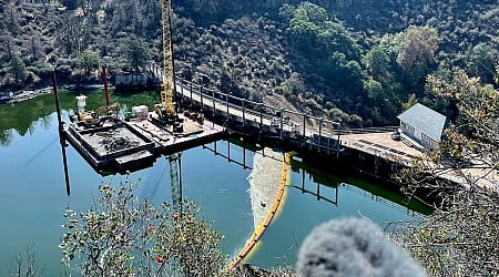 Salmon return to lay eggs after largest dam removal project in US history