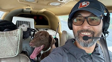 Animal-rescue pilot dies in crash; 2 dogs aboard are recovering