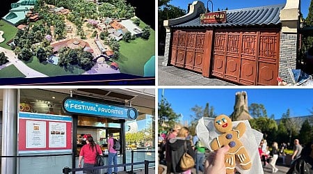 Florida Water Management Requests More Information About Animal Kingdom Tropical Americas & More: Daily Recap (11/27/24)