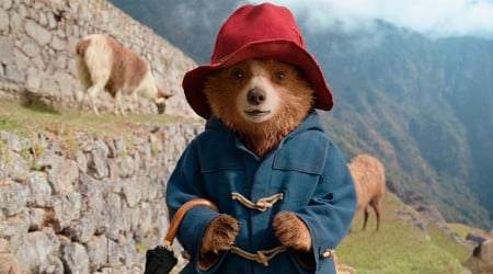 ‘Paddington In Peru’ Roaming To Presidents & Valentine’s Day Weekend