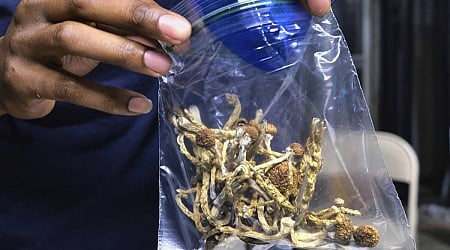 'Shrooms'-related bills set for approval in Nevada...