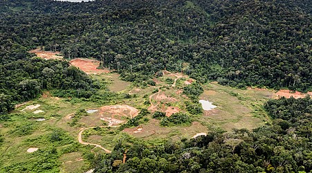 La protection de l'environnement a eu raison du projet de mine industrielle Montagne d'Or en Guyane