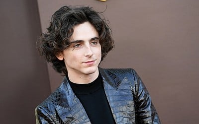 Timothée Chalamet's Team Offered to Pay Lookalike Contest's $500 Fine